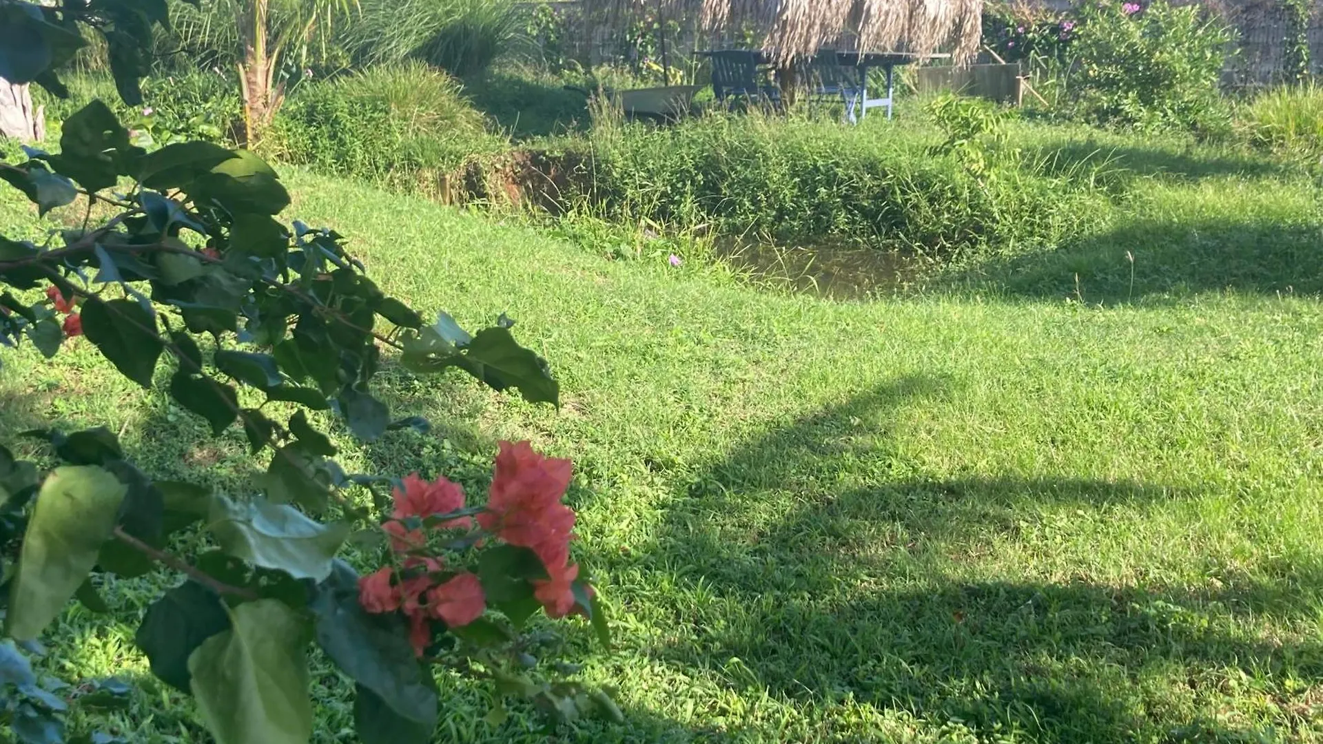 Home Container Resort Feu Sainte-Rose Guadeloupe