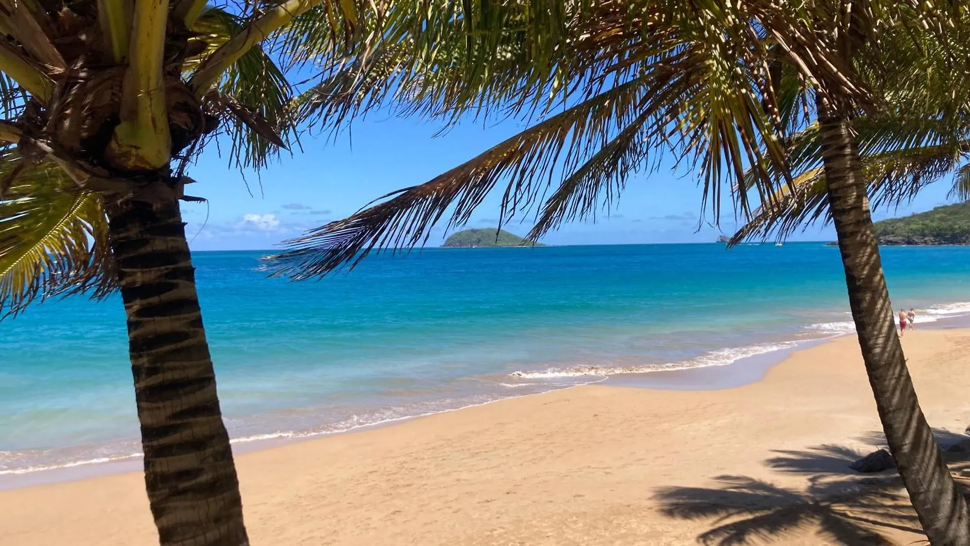 Home Container Resort Feu Sainte-Rose 0*,  Guadeloupe